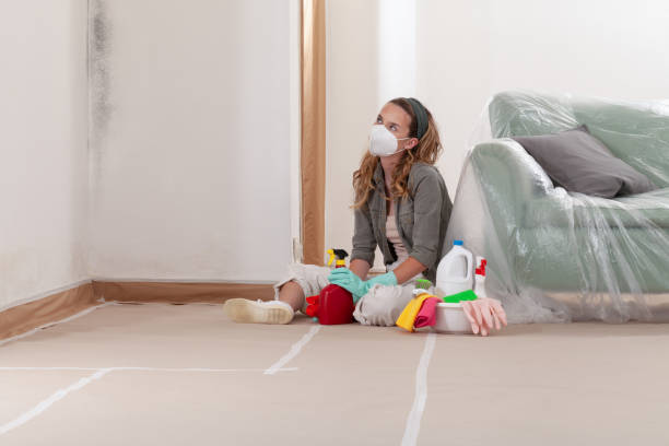 Reliable Mold Remediation contractor in Woodbury, MN by Car Mold Remediation